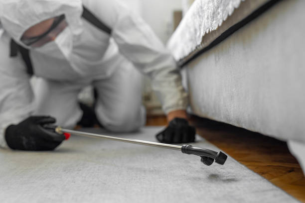 Professional Cockroach Control technician working in West Bishop, CA