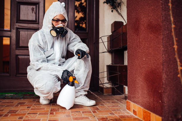 Reliable Cockroach Control contractor in West Bishop, CA by Nex Pest Control