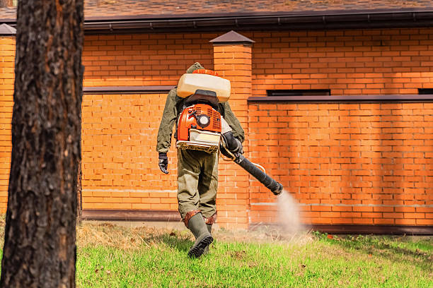 Top rated local Cockroach Control specialists in West Bishop, CA